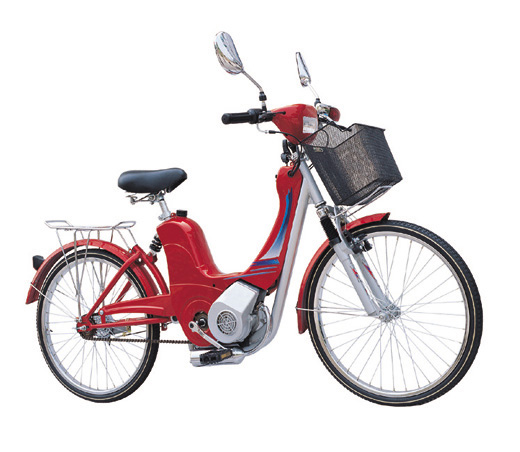 petrol pedal bike